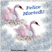Buon Marted