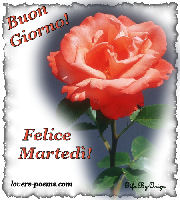 Buon Marted