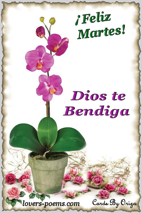 Feliz Martes
