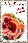 Feliz Martes