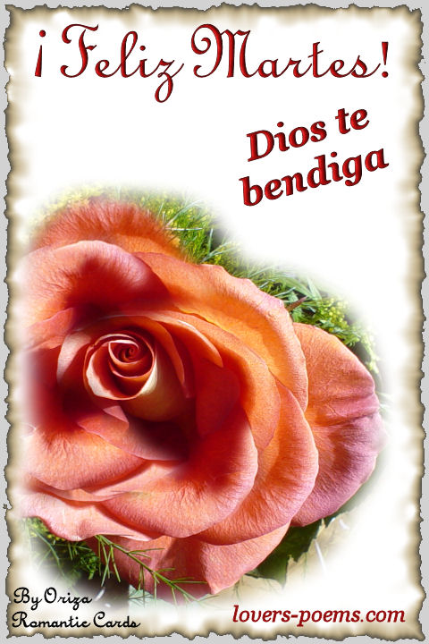 Feliz Martes