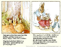 Peter Rabbit Tale