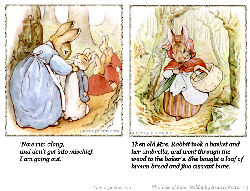 Peter Rabbit Tale