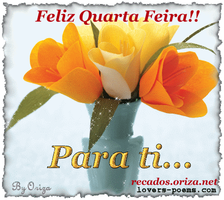 quarta-feira-101005-1.gif