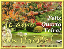 Feliz quarta-feira