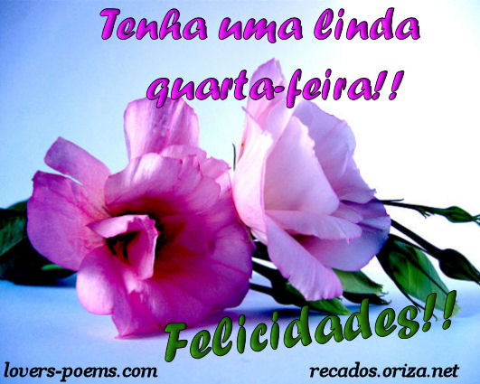 quarta-feira-101025.jpg