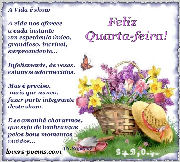 Feliz quarta-feira