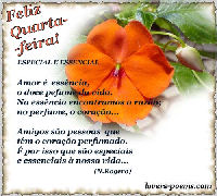 Feliz quarta-feira