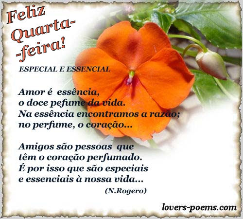 Feliz quarta-feira
