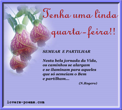 Feliz quarta-feira