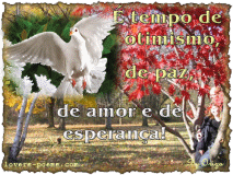 Mensagem de Otimismo... Clique para abrir e enviar...