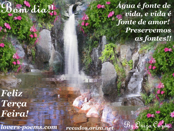 terca-feira-101004.gif