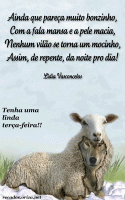 Feliz Tera-feira!