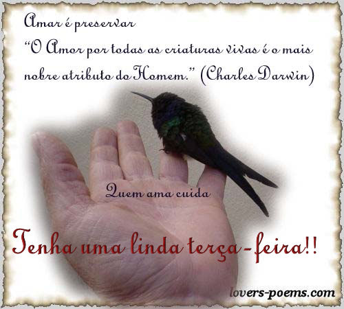 Feliz Tera-feira