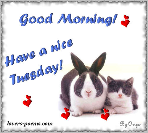 Happy Tuesday