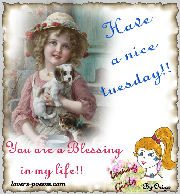 Happy Tuesday