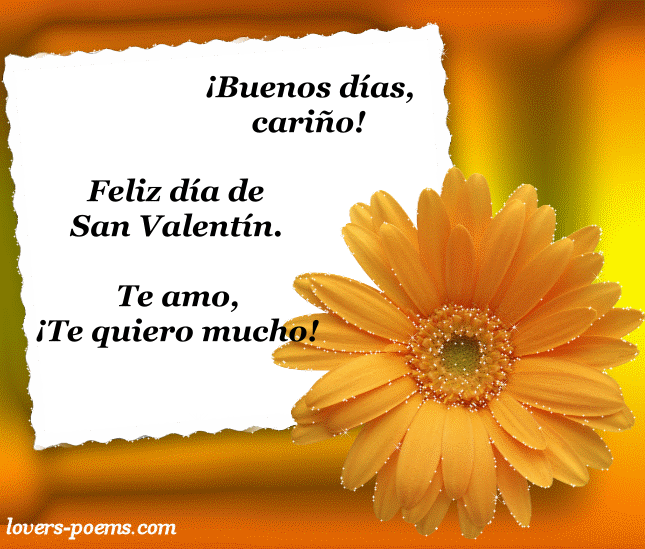 Amor y amistad