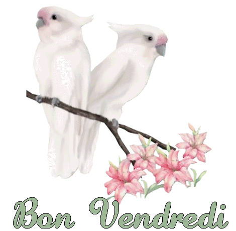 Bopn Vendredi