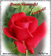 Buon Venerd!