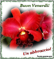 Buon Venerd!