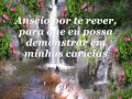 Palavras de Amor