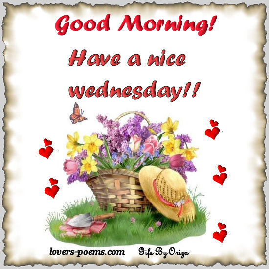 Hi! Good Morning!