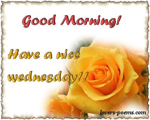 Hi! Good Morning!
