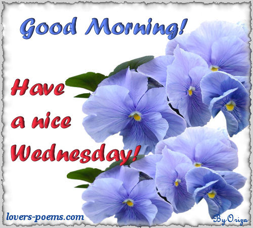 Hi! Good Morning!